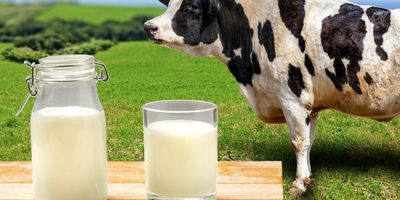 На Львівщині відкрили п’ять сімейних молочних ферм