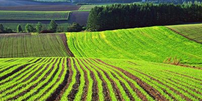 Україна отримає 200 мільйонів доларів на розвиток фермерства