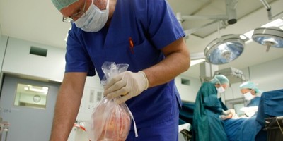 Зеленський хоче створити в Україні програму з трансплантації органів