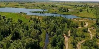 Ще сім зелених зон у Києві оголосили ландшафтними заказниками