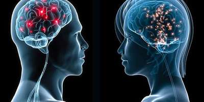 Чим чоловічий мозок відрізняється від жіночого: нове дослідження