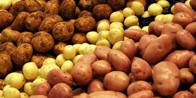 В Україні суттєво подешевшала картопля