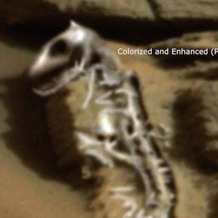 На Марсі знайшли кістяк динозавра (ФОТО+ВІДЕО)