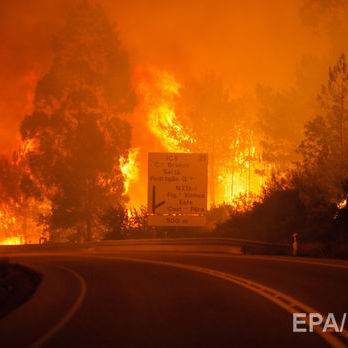 Українців серед жертв лісових пожеж у Португалії немає – МЗС