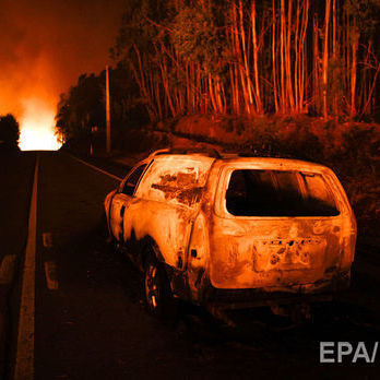 Число жертв лісової пожежі в Португалії перевищило 60
