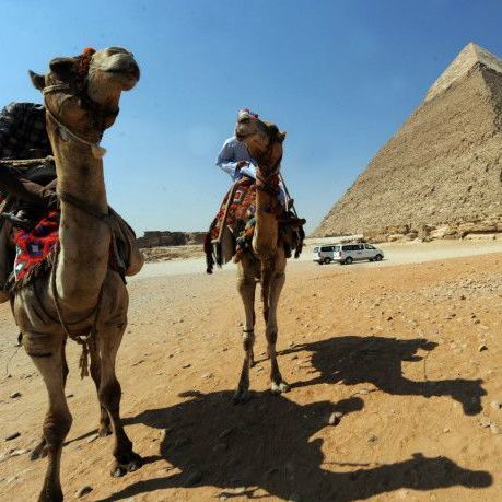 Шість одеських двірників розкішно відпочили у Єгипті (відео)