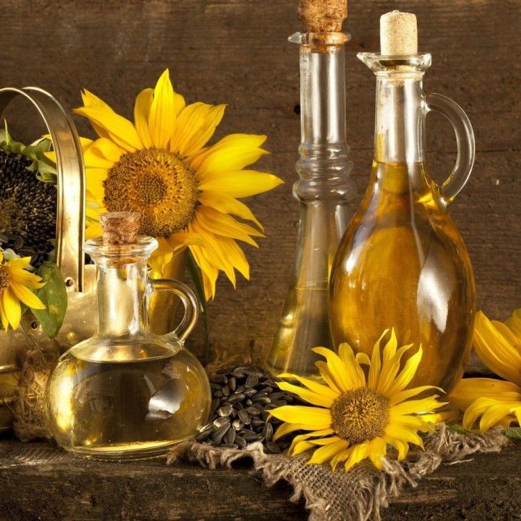 Україна займає майже 60% світового ринку соняшникової олії