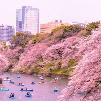 З наступного року виїзд з Японії для туристів буде платним