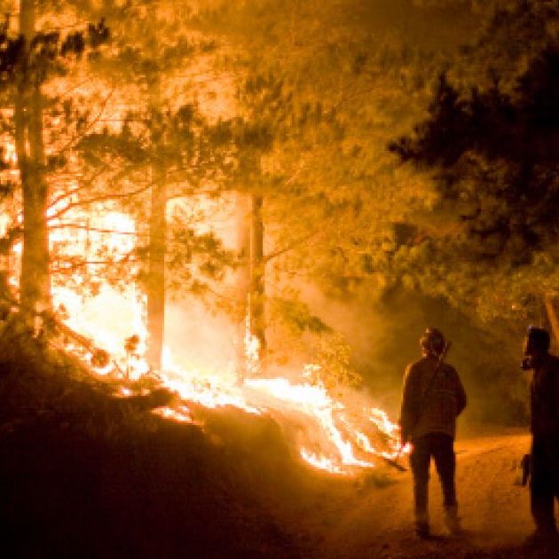 Внаслідок пожежі у лісах Канади, евакуюватися довелося 2 тисячам людей