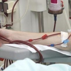 Тисячам українців можуть переливати кров, заражену СНІДом та гепатитом - Ольга Богомолець