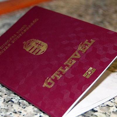 На Закарпатті понад 300 чиновників виявилися власниками угорських паспортів