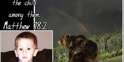 Трирічного хлопчика в США знайшли живим у лісі після 2 діб пошуків (фото)