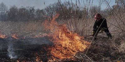 На Чернігівщині під час пожежі сухої трави загинула пенсіонерка
