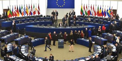 Українські мігранти вперше балотуються до Європарламенту від партій Польщі