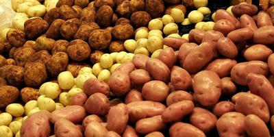 В Україні назріває дефіцит картоплі: якими будуть ціни і чим замінити овоч
