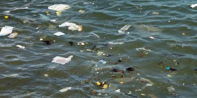 У Чорному морі вдвічі більше сміття ніж у Середземному