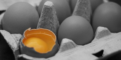 Яйце для Порошенка: на порушника склали адмінпротокол