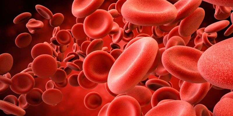 Японські вчені винайшли унікальну за своїми властивостями штучну кров