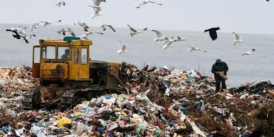 Найбільші сміттєзвалища України (інфографіка)