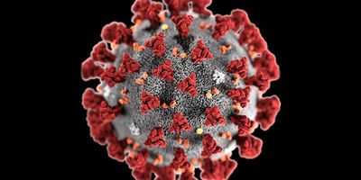 Як довго коронавірус живе на медичних масках, банкнотах та одязі – дослідження