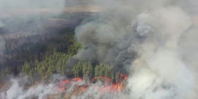 Рятувальники продовжують гасити пожежі на території чотирьох лісництв у зоні ЧАЕС