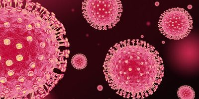 Названо новий осередок коронавірусу в тілі людини: залишається надовго